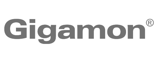 Gigamon